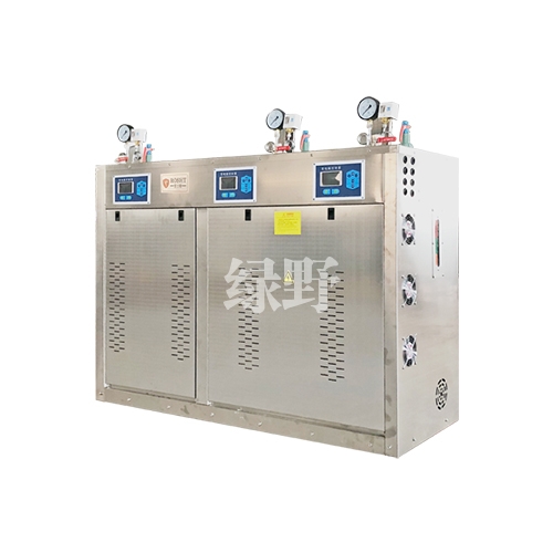 天津216KW電蒸汽發生器